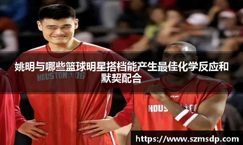 姚明与哪些篮球明星搭档能产生最佳化学反应和默契配合