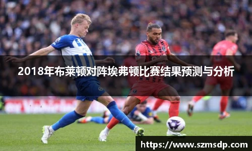 2018年布莱顿对阵埃弗顿比赛结果预测与分析